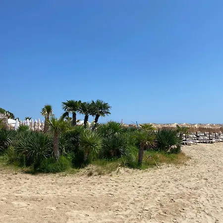 Horizon 31 'б' 圣弗拉斯