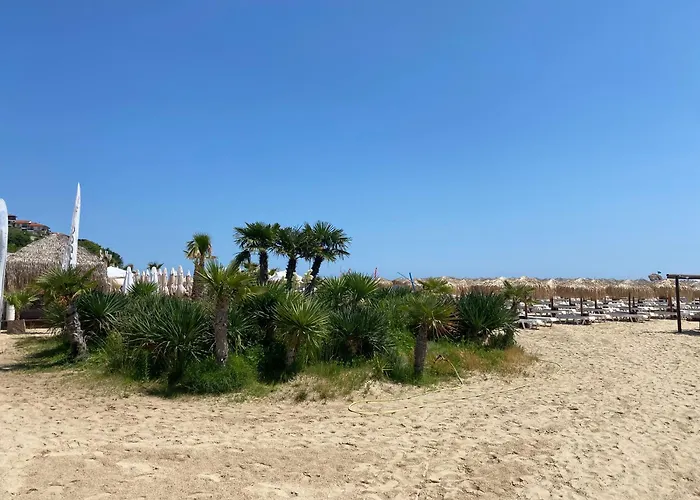 Horizon 31 'б' Szveti Vlasz